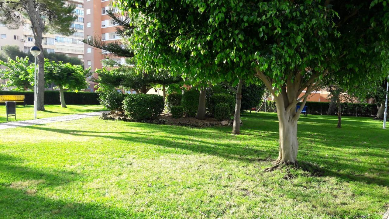 Apartamento Edificio Provima B 5 Benidorm Exteriér fotografie